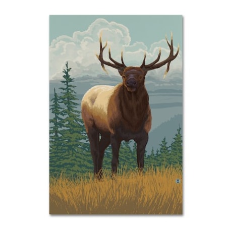 Trademark Fine Art Lantern Press 'Animal 23' Canvas Art, 30x47 ALI8823-C3047GG
